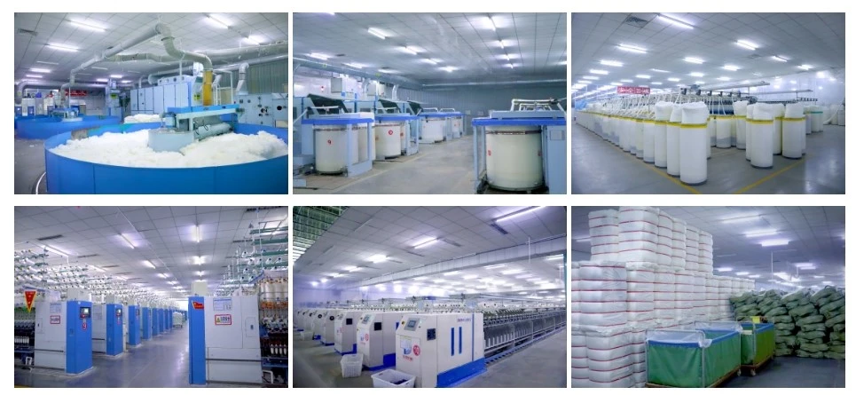 product-965-445 product-965-445